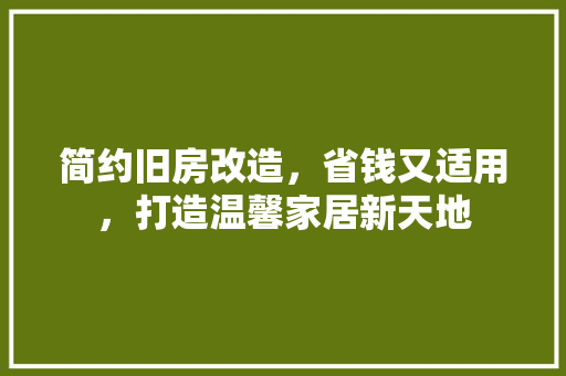 简约旧房改造，省钱又适用，打造温馨家居新天地