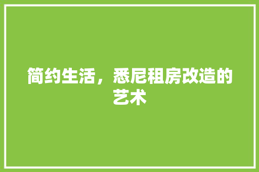 简约生活，悉尼租房改造的艺术