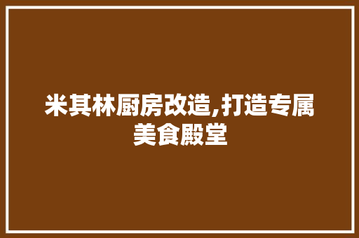 米其林厨房改造,打造专属美食殿堂