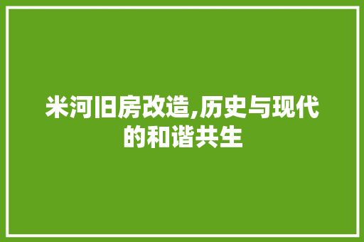 米河旧房改造,历史与现代的和谐共生