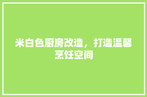 米白色厨房改造，打造温馨烹饪空间 厨房维修