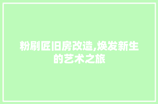 粉刷匠旧房改造,焕发新生的艺术之旅