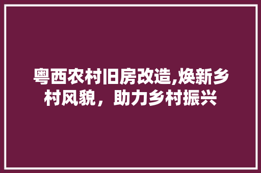 粤西农村旧房改造,焕新乡村风貌，助力乡村振兴