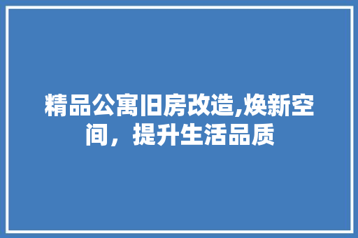 精品公寓旧房改造,焕新空间，提升生活品质