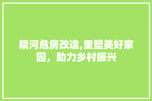 精河危房改造,重塑美好家园，助力乡村振兴