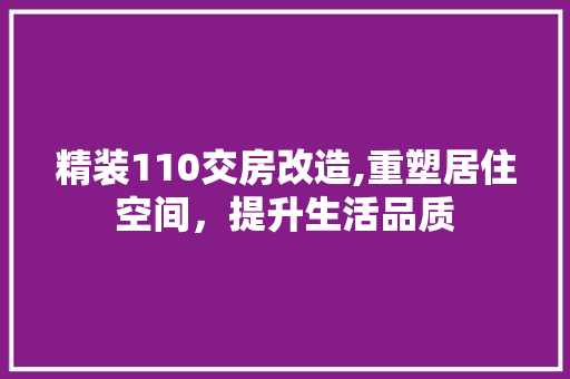 精装110交房改造,重塑居住空间，提升生活品质