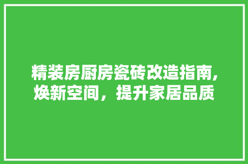 精装房厨房瓷砖改造指南,焕新空间，提升家居品质