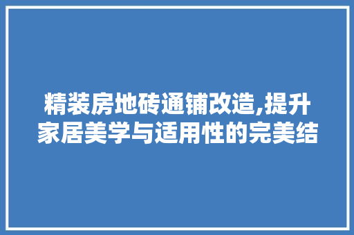 精装房地砖通铺改造,提升家居美学与适用性的完美结合 汽车维修