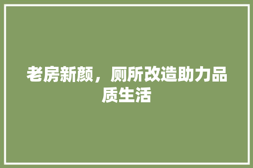 老房新颜，厕所改造助力品质生活 墙体维修