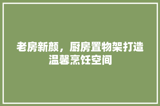 老房新颜，厨房置物架打造温馨烹饪空间 家电维修