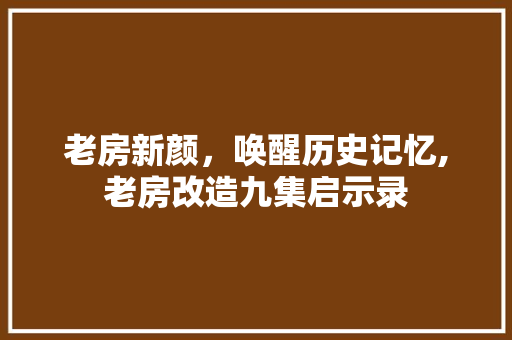 老房新颜，唤醒历史记忆,老房改造九集启示录 墙体维修