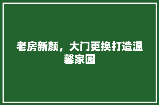 老房新颜，大门更换打造温馨家园 墙体维修