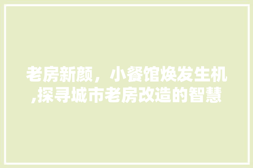 老房新颜，小餐馆焕发生机,探寻城市老房改造的智慧之路