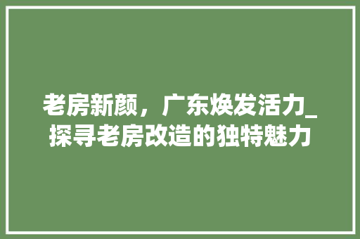 老房新颜，广东焕发活力_探寻老房改造的独特魅力