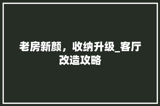 老房新颜，收纳升级_客厅改造攻略 综合便民