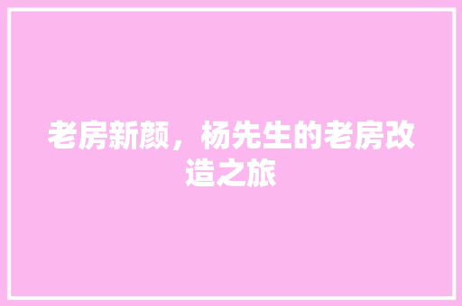 老房新颜，杨先生的老房改造之旅