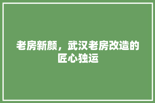 老房新颜，武汉老房改造的匠心独运