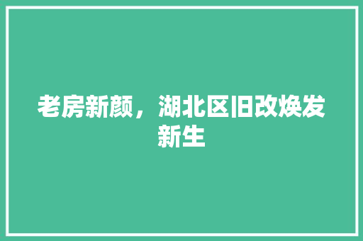 老房新颜，湖北区旧改焕发新生