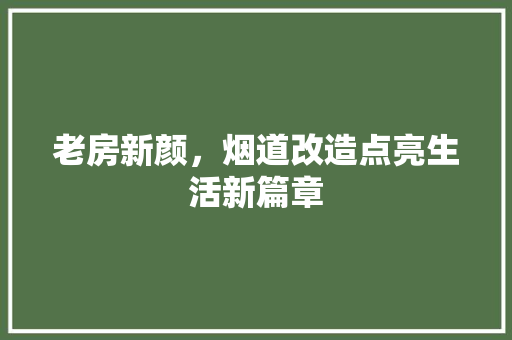老房新颜，烟道改造点亮生活新篇章