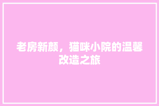 老房新颜，猫咪小院的温馨改造之旅 墙体维修
