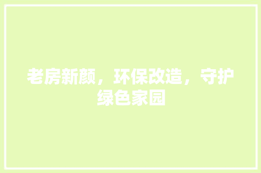 老房新颜，环保改造，守护绿色家园 墙体维修