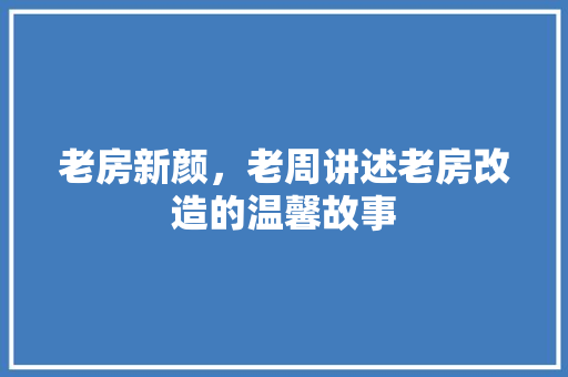 老房新颜，老周讲述老房改造的温馨故事 厨房维修