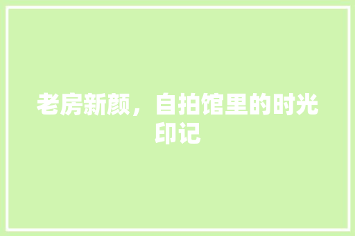 老房新颜，自拍馆里的时光印记