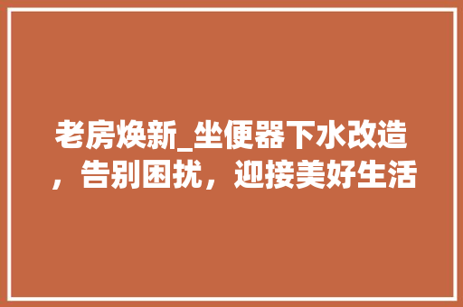 老房焕新_坐便器下水改造，告别困扰，迎接美好生活 厨房维修