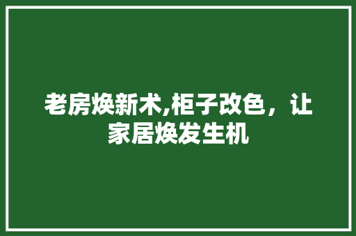 老房焕新术,柜子改色，让家居焕发生机