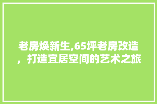 老房焕新生,65坪老房改造，打造宜居空间的艺术之旅