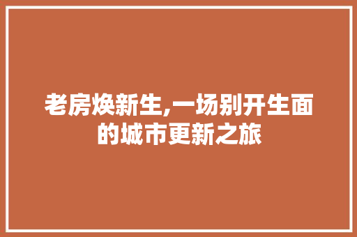 老房焕新生,一场别开生面的城市更新之旅