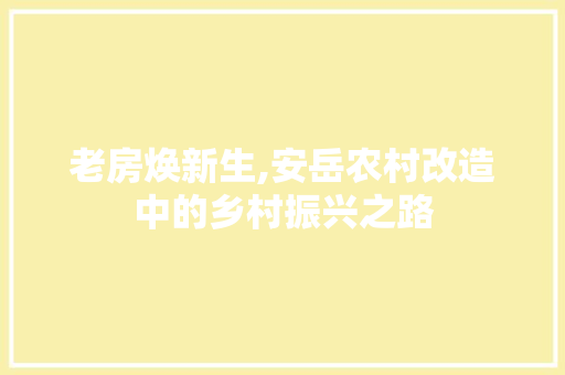 老房焕新生,安岳农村改造中的乡村振兴之路