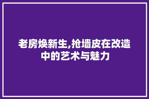 老房焕新生,抢墙皮在改造中的艺术与魅力 综合便民