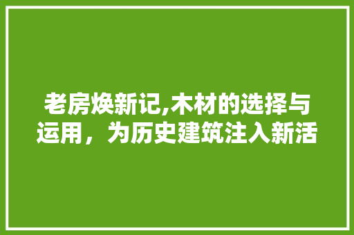 老房焕新记,木材的选择与运用，为历史建筑注入新活力