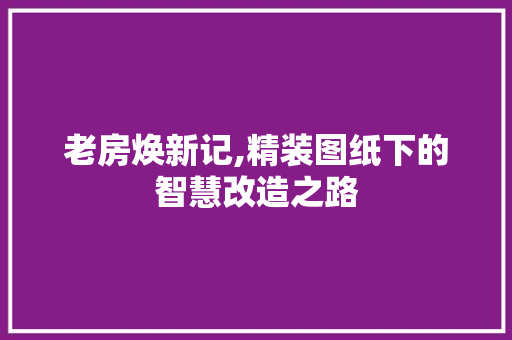 老房焕新记,精装图纸下的智慧改造之路