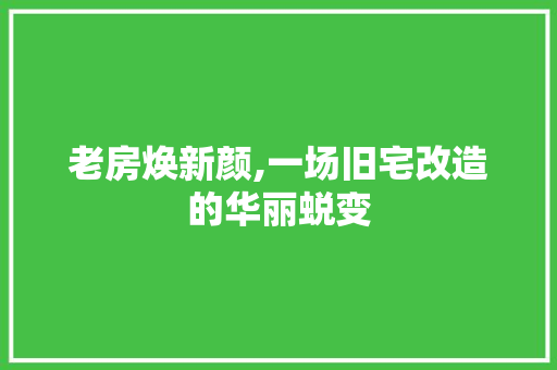 老房焕新颜,一场旧宅改造的华丽蜕变 汽车维修