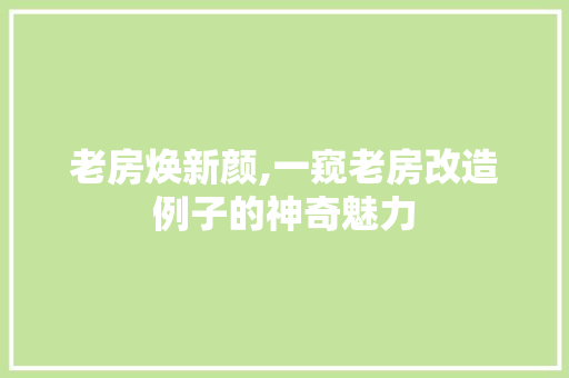 老房焕新颜,一窥老房改造例子的神奇魅力 墙体维修