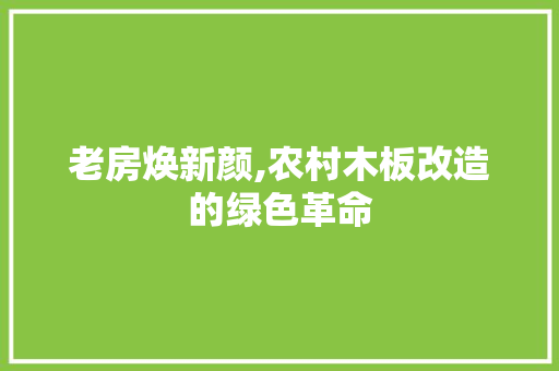 老房焕新颜,农村木板改造的绿色革命 汽车维修