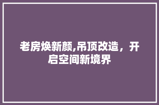 老房焕新颜,吊顶改造，开启空间新境界