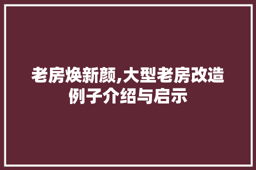 老房焕新颜,大型老房改造例子介绍与启示