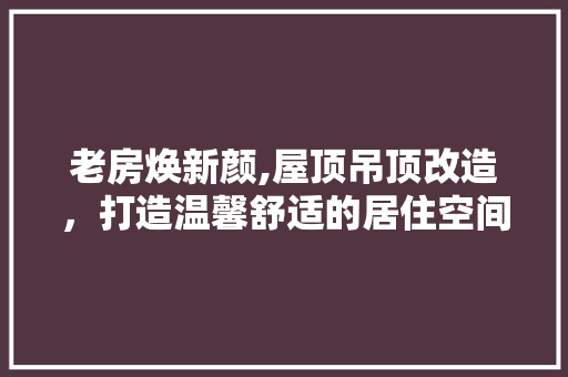 老房焕新颜,屋顶吊顶改造，打造温馨舒适的居住空间