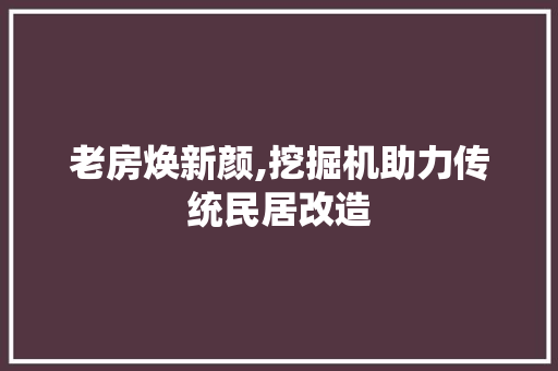 老房焕新颜,挖掘机助力传统民居改造 汽车维修