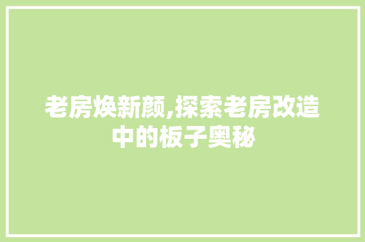 老房焕新颜,探索老房改造中的板子奥秘