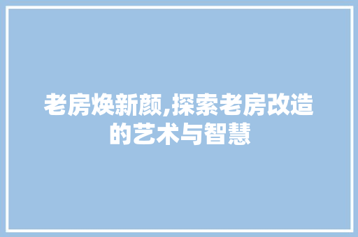老房焕新颜,探索老房改造的艺术与智慧