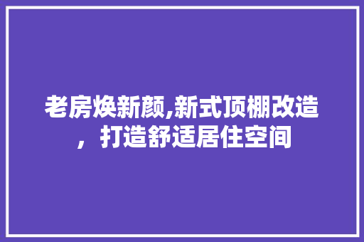 老房焕新颜,新式顶棚改造，打造舒适居住空间