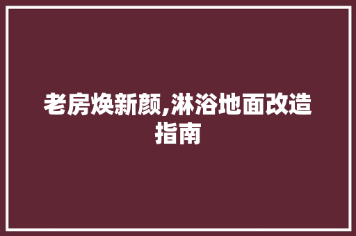 老房焕新颜,淋浴地面改造指南 厨房维修