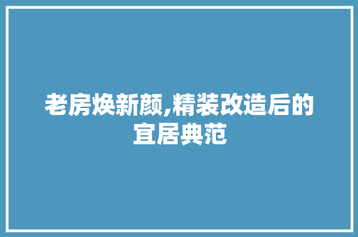 老房焕新颜,精装改造后的宜居典范