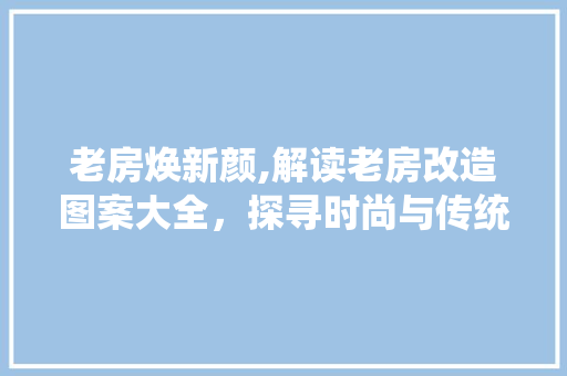 老房焕新颜,解读老房改造图案大全，探寻时尚与传统的完美融合