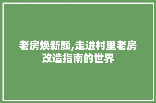 老房焕新颜,走进村里老房改造指南的世界 综合便民