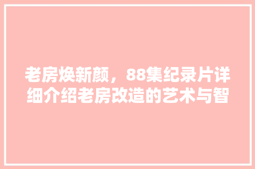 老房焕新颜，88集纪录片详细介绍老房改造的艺术与智慧